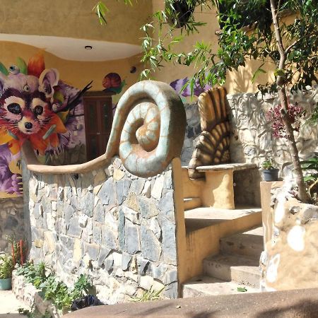 Casa Musgo Ξενοδοχείο Xilitla Εξωτερικό φωτογραφία
